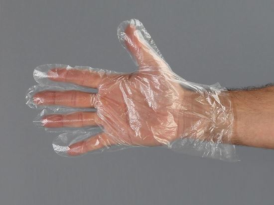 Picture of High Density Poly Gloves - 100 per Bag