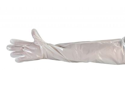 Picture of Low Density White Smooth Shoulder Length Glove