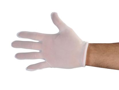 Picture of Lint Free Nylon Ladies Reversible Glove