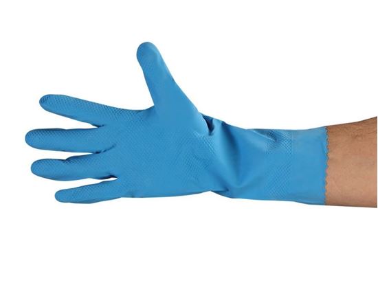 Picture of Blue Latex Gloves - 18 mil