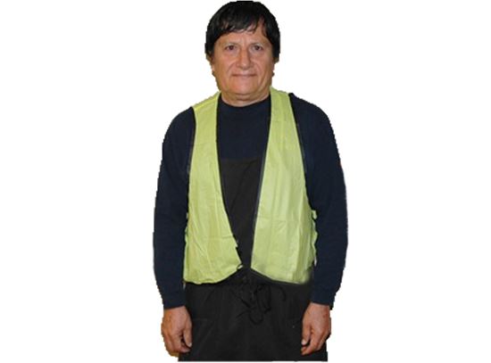 Picture of Lime Green Shield Safety Vest - Front String Tie
