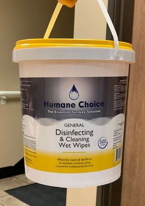 Picture of Everwipe Surface Care Cleansing Wipes  Bucket